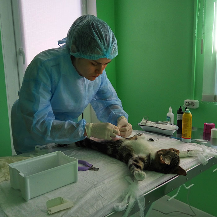 Ветеринарные клиники